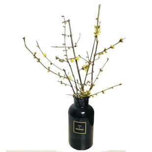 中国腊梅鲜花鲜切花干花鲜切插花枝条水培蜡梅带花苞干枝梅花真花
