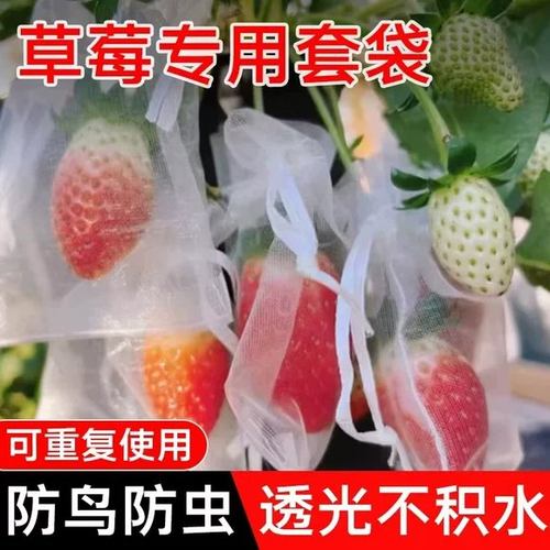 水果套袋防虫防鸟网袋罩葡萄桃子枇杷草莓蓝莓专用套袋保护套苦瓜