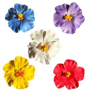 多巴胺扶桑花花朵发夹女款海岛侧边头饰配饰海边度假风氛围感发饰