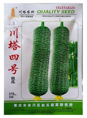 川塔四号大皱皮肉香丝瓜种子孑籽