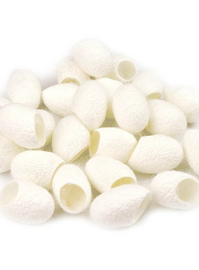 瑕疵入药优质一级原料包邮桑蚕茧