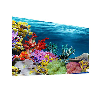 鱼缸背景画鱼缸背景纸高清图3d立体造景贴纸装饰珊瑚石水族箱壁纸