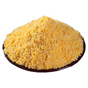 新货黄小米香糯粘稠农家旱地黄小米粥料食用小米