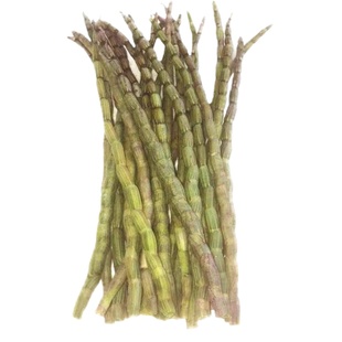 优价最粗壮铁皮石斛鲜条500g仿野外滋补新鲜非云霍山枫斗保健营养