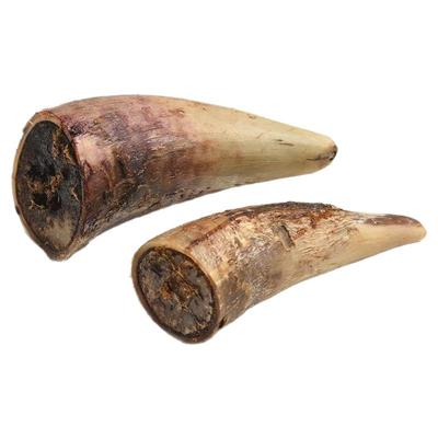 风干牛角磨牙洁齿耐咬磨牙棒狗狗零食小中大型犬含牛角髓营养补钙