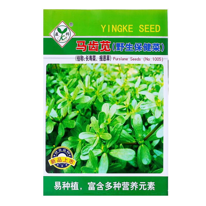 盆栽野生野菜食用马齿苋菜种子孑中药种春秋抗热田园四季蔬菜种籽