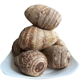 正宗牛奶芋头新鲜现挖小毛软糯香滑农产品芋艿新鲜蔬菜大果小香芋