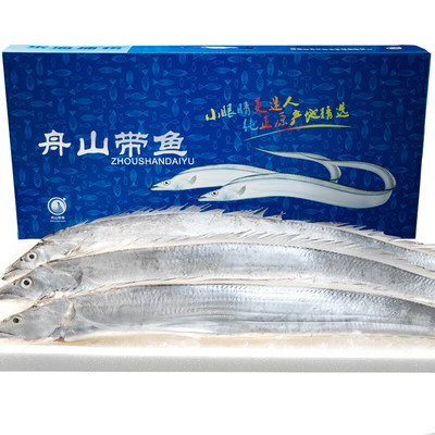【5斤新钓船供】舟山小眼带鱼