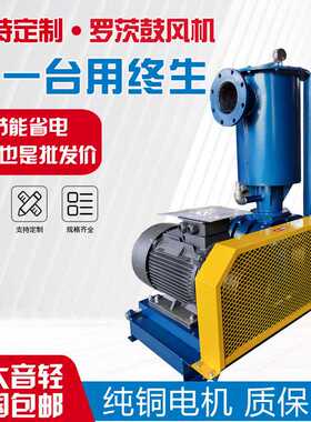 章丘三叶罗茨鼓风机生产厂家30KW污水池高压鼓风机虾塘鱼池增氧泵