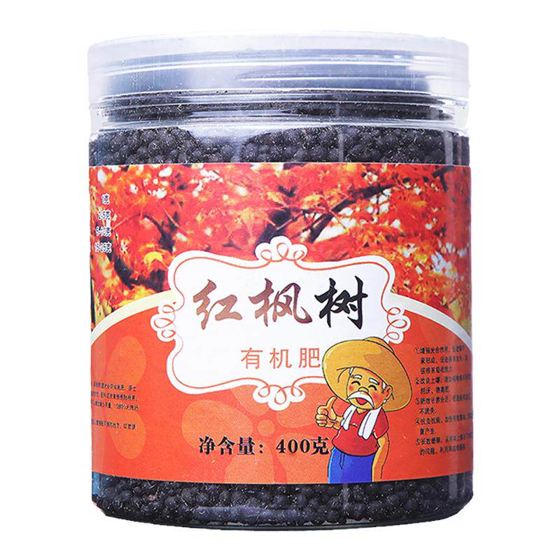 红枫树盆栽盆景肥促生长变红
