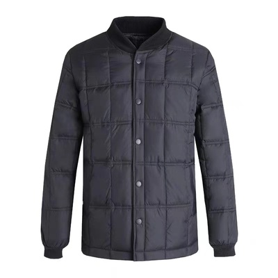 南极人羽绒内胆男短款羽绒服