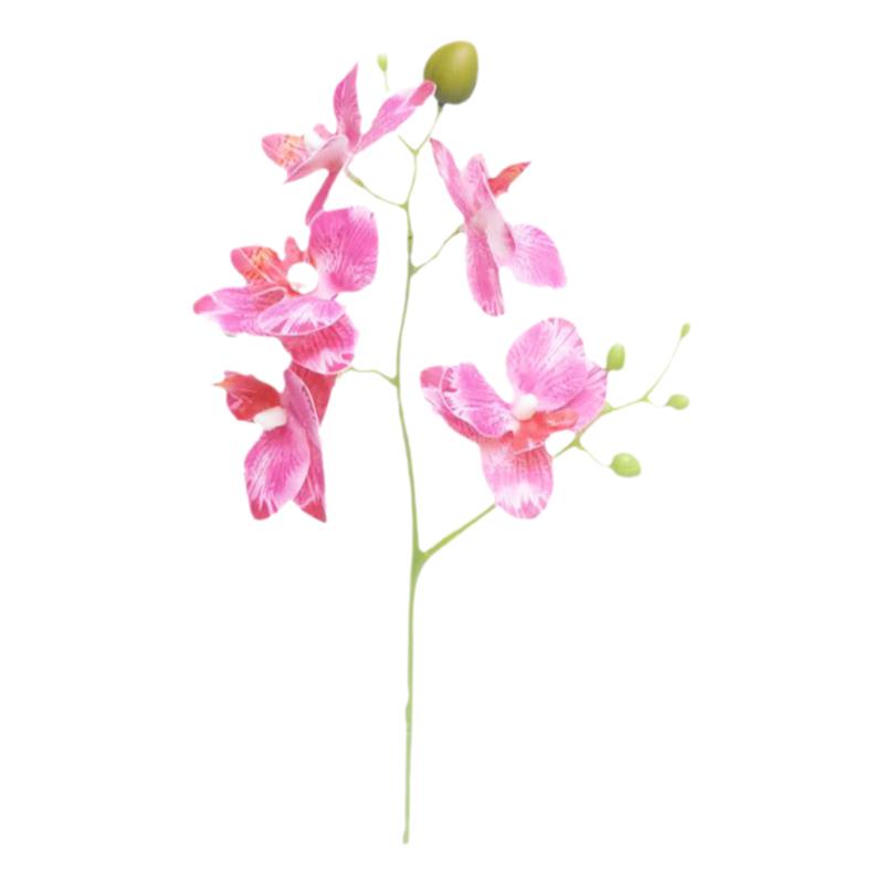 室内家居摆件假花装饰摆设仿真蝴蝶兰小盆栽植物花艺北欧ins盆景