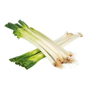 山东章丘大葱新鲜农家正宗特级甜脆铁杆大葱特产蔬菜5斤香葱头3