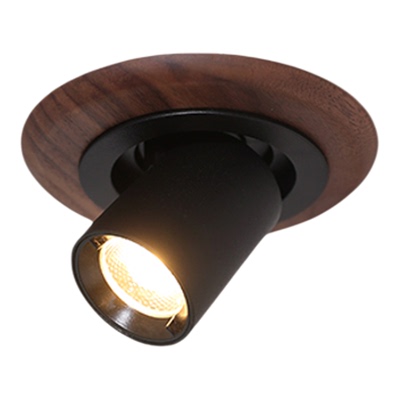 胡桃木嵌入式射灯雷特dali调光
