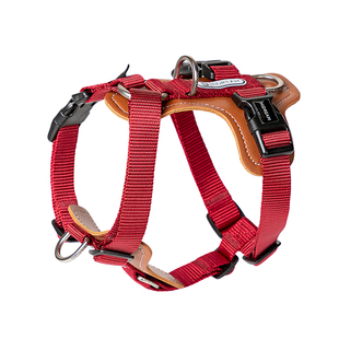 HiDREAM狗狗牵引绳遛狗绳中小 型犬宠物一拖二链防爆冲胸背带外出