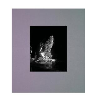 【现货】我将优美地歌唱 欧格斯·兰斯莫斯 I shall sing these songs beautifully  Yorgos Lanthimos 可怜的东西 英文摄影