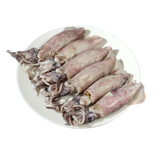 满籽海兔子全籽新鲜籽乌笔管鱼墨鱼仔鲜活小鱿鱼海鲜水产乌贼带籽