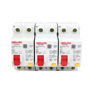 德力西空气开关带漏电保护器63A家用旗舰款 2P双进双出漏电保护器