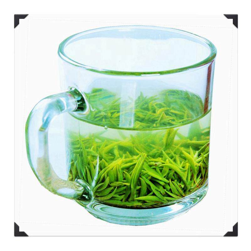 2026年新茶试喝 芽玉仙芝散茶浮梁毛尖仙芝得雨活茶绿茶白茶