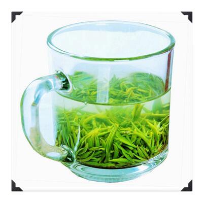 绿茶浮梁茶芽玉仙芝试喝
