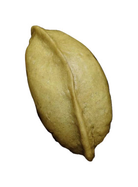 毕节农家传统手工苦荞粑粑猪儿粑粑酥麻白糖馅制作小时候的味道