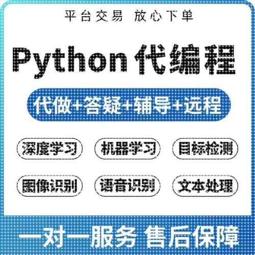 代码python编程深度学习机器学习人工智能代码编写跑通讲解调试