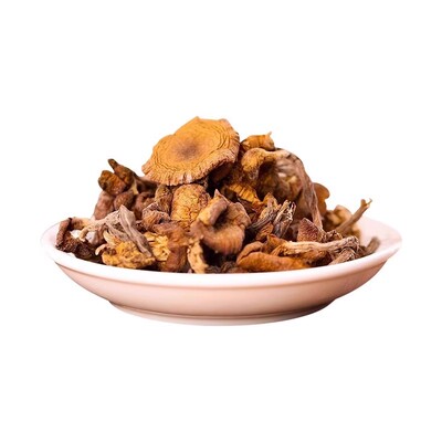 纯野生榛蘑东北第四宝