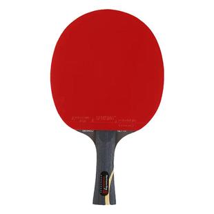 正品SFUKING狂飙王乒乓球拍单拍阿尤斯10星级专业比赛横直成品拍