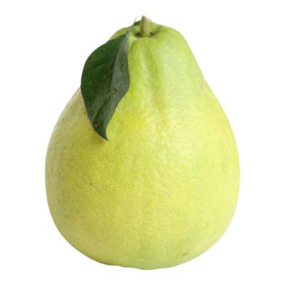 正宗江永香柚老树柚子纯甜沙田柚