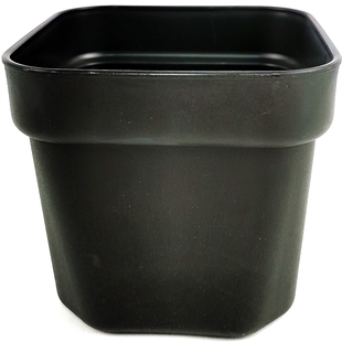 加厚小白方盆多肉花盆黑方塑料浅方盆仙人球专用盆肉锥盆包邮