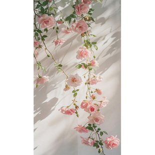 北欧光影蔷薇花卉女孩卧室房间门帘卫生间隔断帘厕所遮挡挂帘布帘