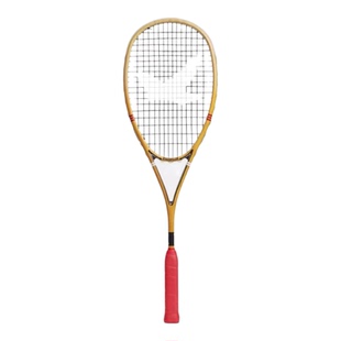 隼张WingedFalcon Force/Dream系列110g专业超轻全碳男女壁球拍