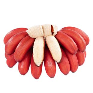 正宗福建/广西红美人香蕉 新鲜特级红皮香蕉红色孕妇水果整箱食品