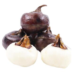 精选乐昌免洗马蹄新鲜荸荠水果地梨5斤当季新鲜水果蔬菜脆甜多汁