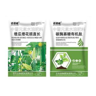 诺德威拉直灵黄瓜顺直王嫩直长顶花带刺增产抗病拉直叶面肥拉直素