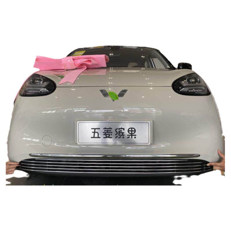 五菱缤果装饰条中网前脸汽车用品