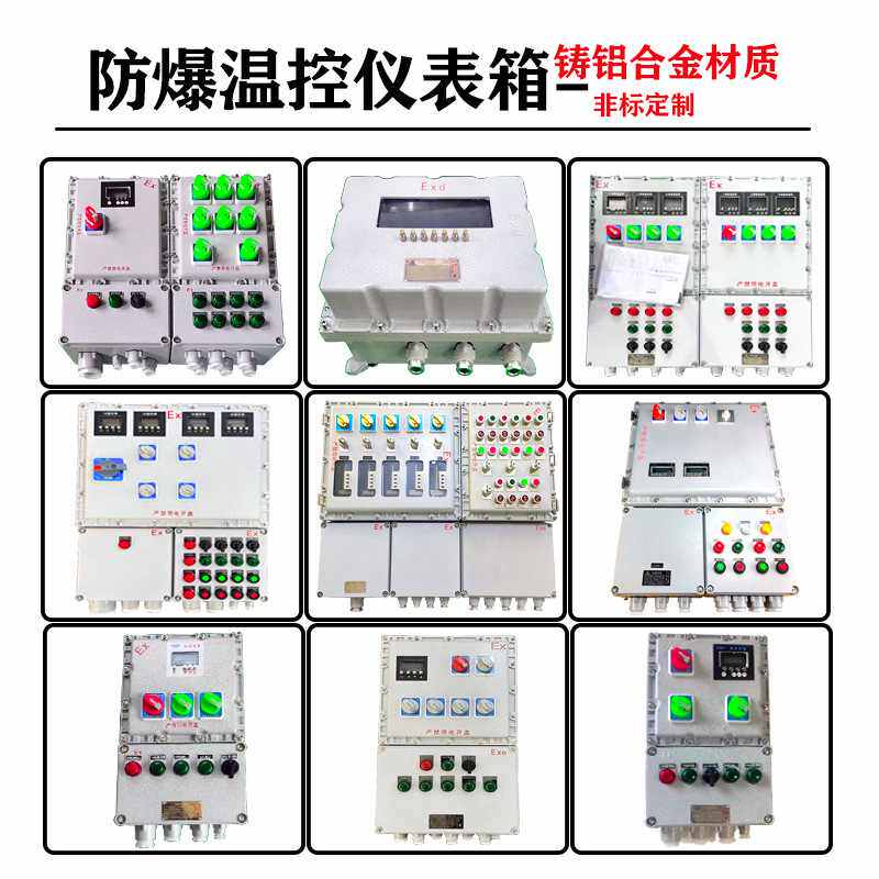 防爆温控仪表箱电子秤称重多回路配电箱电加热电伴热带防爆控制箱