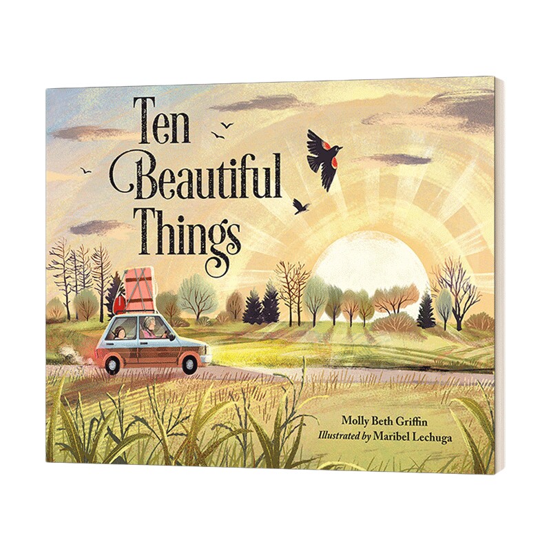 十个美丽的东西 英文原版 Ten Beautiful Things 儿童精装绘本 英文版 进口英语原版书籍