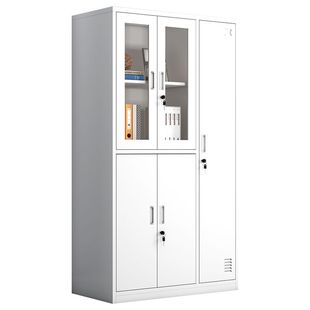 钢制铁皮文件柜五门玻璃更衣柜财务凭证档案柜带锁储物凭证资料柜
