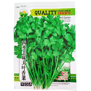菜种籽四季蔬菜种子种子孑菜籽香菜大全生菜黄瓜番茄春秋玉米种子