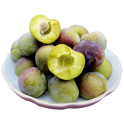 四川李子新鲜水果脱骨现货茵红
