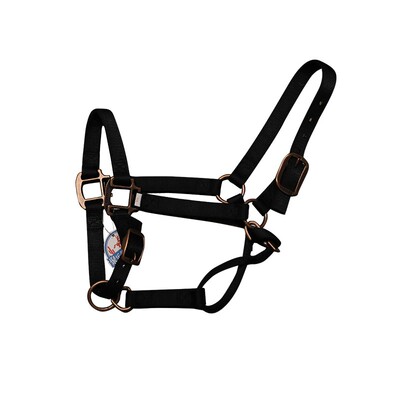 美国进口西部马术马笼头配件