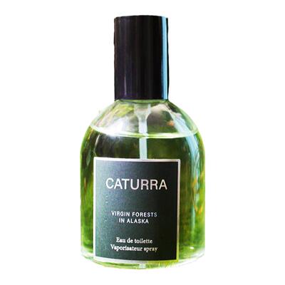 CATURRA/卡图拉木质冷杉淡香