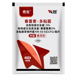 科诺奇击3%春雷霉素多粘类芽孢杆菌稻瘟病细菌性条斑斑点病杀菌剂