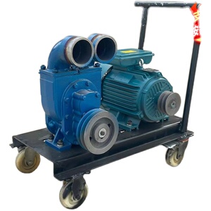 新款吸粪泵抽猪粪泥浆泵吸污泵化粪池自吸污水泵无堵塞抽粪泵污水