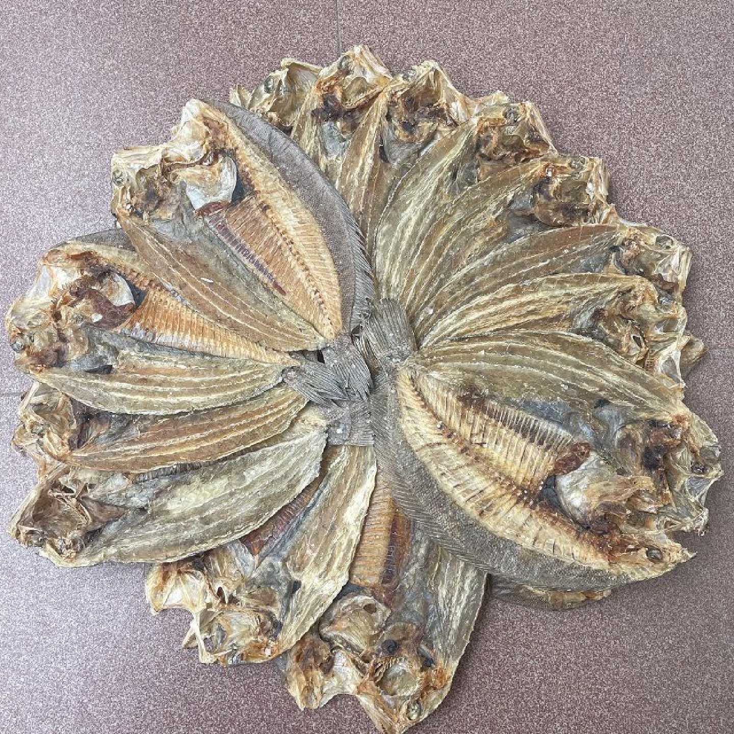 广东汕尾特产大地鱼干海鲜干货250g商用云吞砂锅粥汤料翅补鱼铁脯