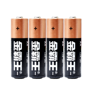 碱性5号富士拍立得原装专用电池适用mini13 12 11 40 SE wide相机
