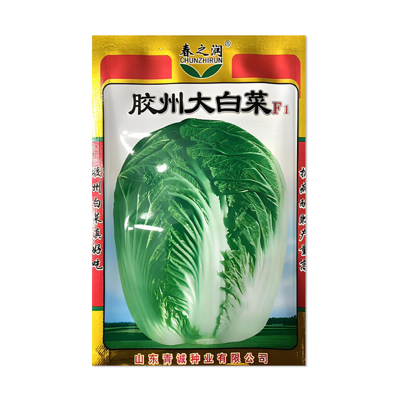 春之润山东胶州大白菜种子