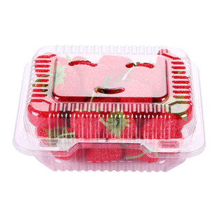 水果盒子包装盒一次性便携外出带盖透明打包盒塑料长方形草莓盒子