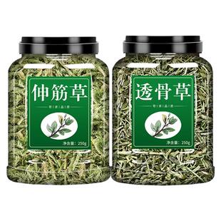 透骨草伸筋草中药材500g正品官方旗舰店新鲜干货珍珠舒筋草泡水喝